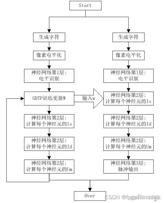 基于SNN脉冲神经网络的Hebbian学习训练过程matlab仿真_学习_02